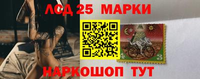 стаф Новодвинск