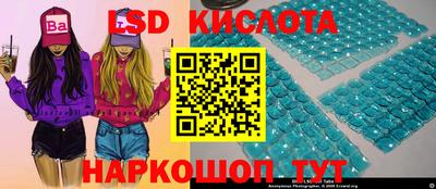 прущие крисы Нальчик