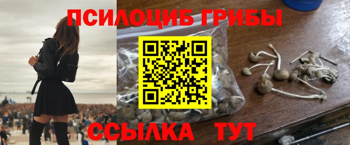 Таганрог  Псилоцибиновые грибы ЛСД  Галлюциногенные грибы Psilocybine cubensis  где купить наркоту  Вход с VPN 